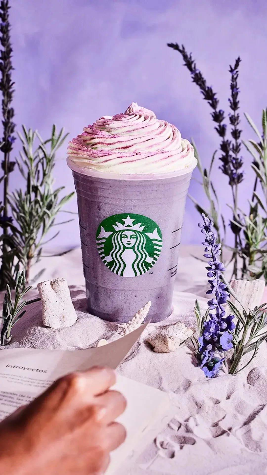 Starbucks Argentina lanzó sus nuevas bebidas y comidas para el otoño 2025