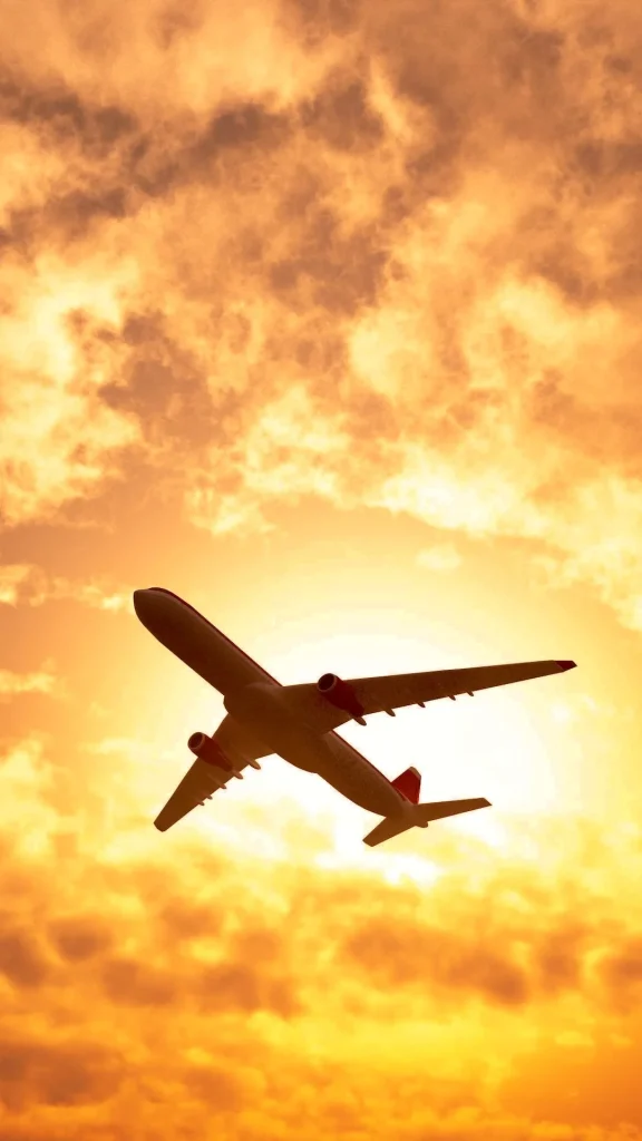 El aeropuerto de Rosario avanza con su plan de ser un hub de exportación