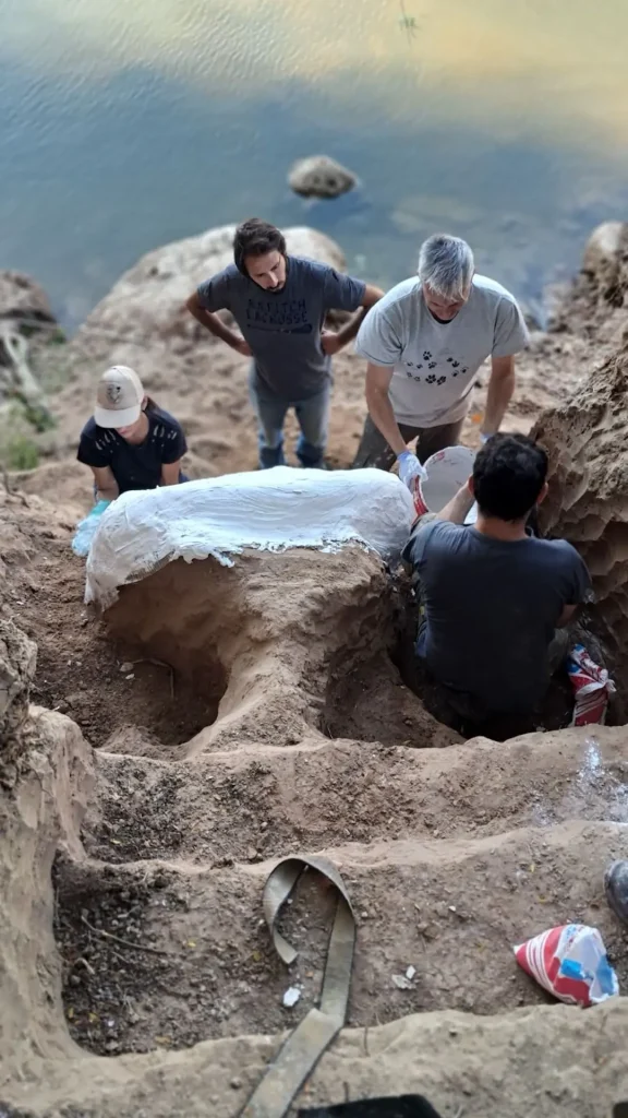 Descubrieron los restos de un mastodonte de la era cenozoica en Arroyo Pavón