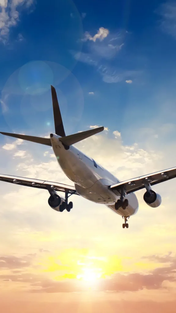 Nuevas mangas, terminal y pista: el futuro del aeropuerto de Rosario