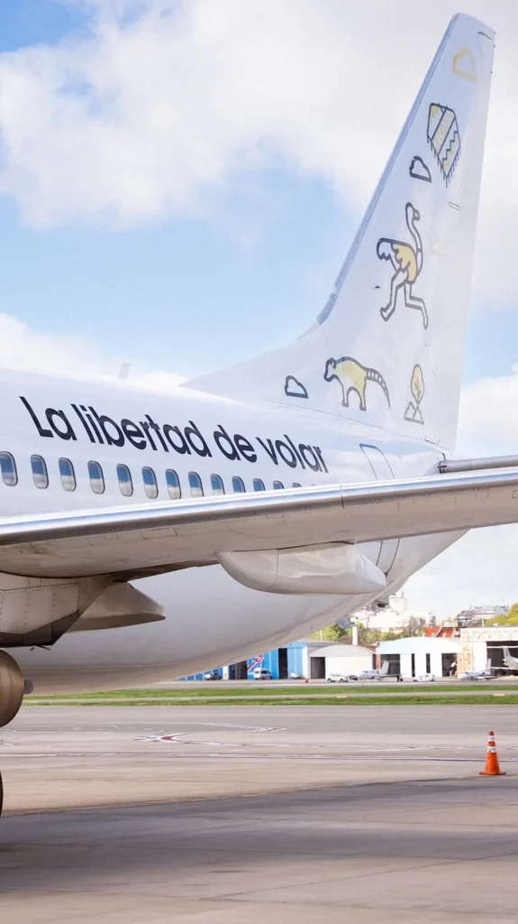 Flybondi lanzó pasajes con descuento para volar en Argentina y a Brasil, Paraguay y Perú