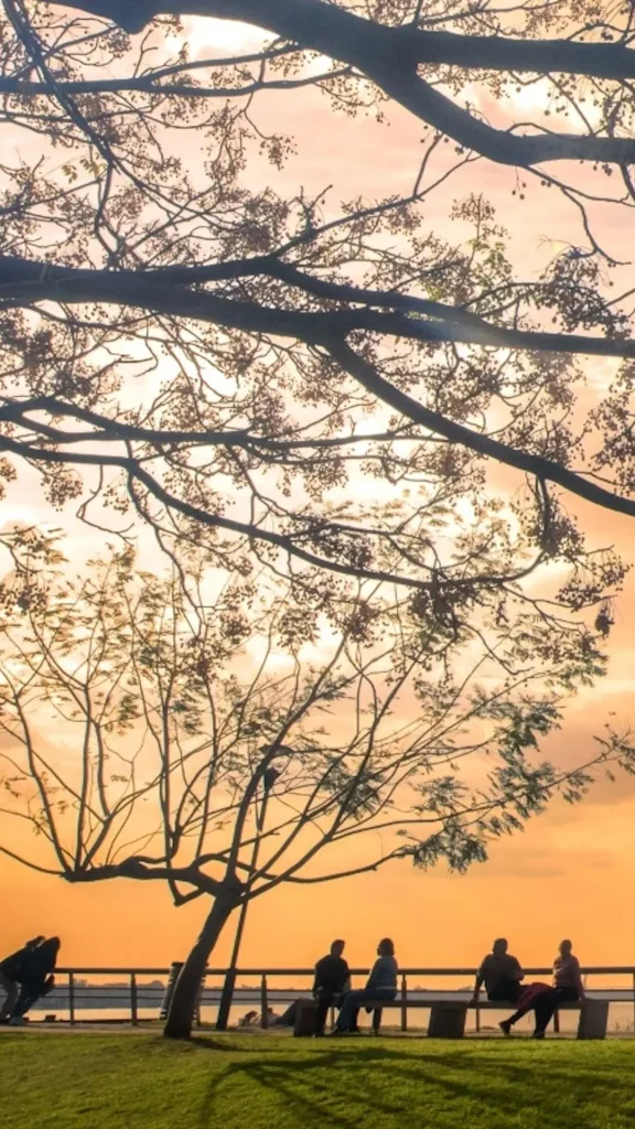 ¿Cómo le fue a Rosario en el fin de semana extra largo por la Soberanía Nacional?