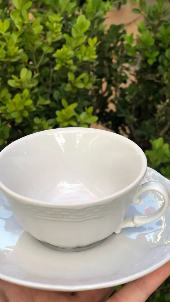 La marca de porcelanas Verbano abrió un outlet en Capitán Bermúdez