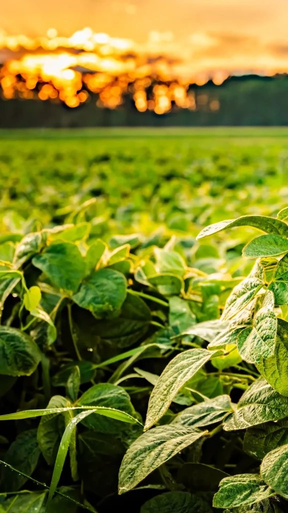 El Congreso de Aapresid 2026 se realizará en Rosario del 4 al 6 de agosto