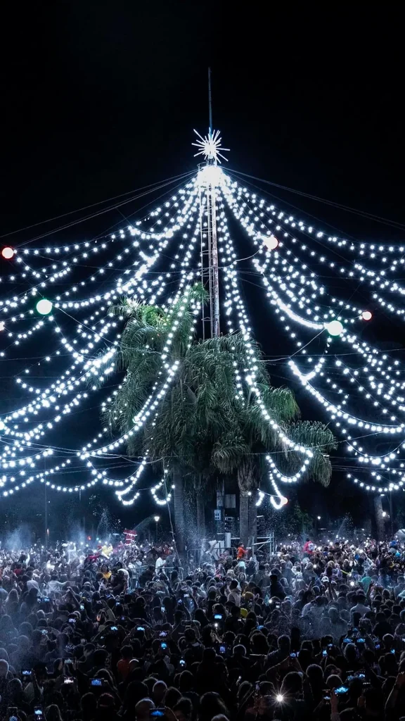 Vuelve a iluminarse el árbol de Navidad de Oroño y Pellegrini en el Parque Independencia