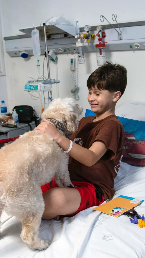 El Hospital de Niños de Rosario sumó animales de compañía para ayudar en la recuperación