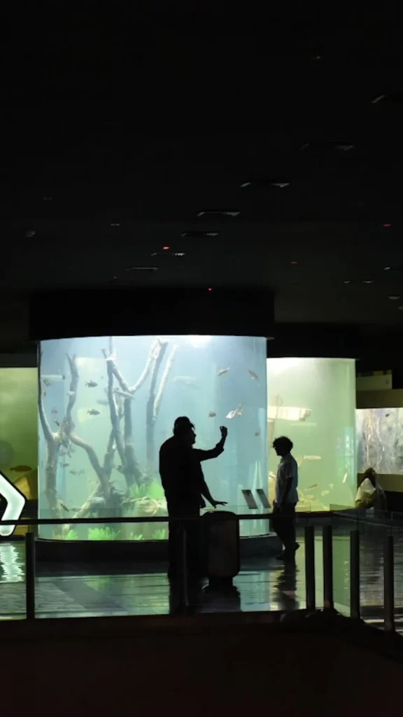 Más de 110 mil personas visitaron el Acuario del Río Paraná en 2025