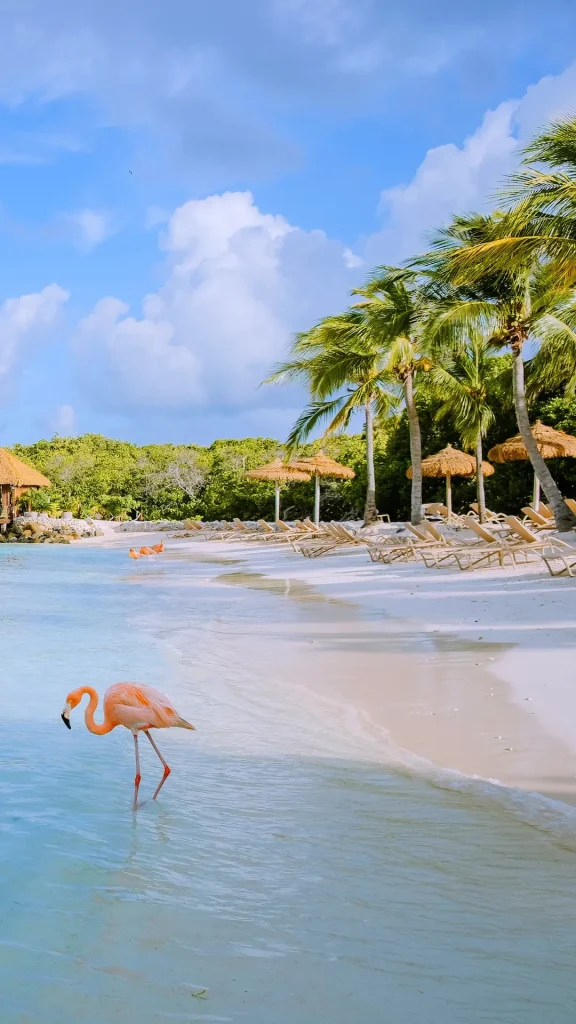 Aerolíneas Argentinas lanzó sus vuelos directos a Aruba