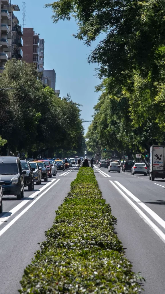 Culminó la repavimentación de Av. Pellegrini en tiempo récord