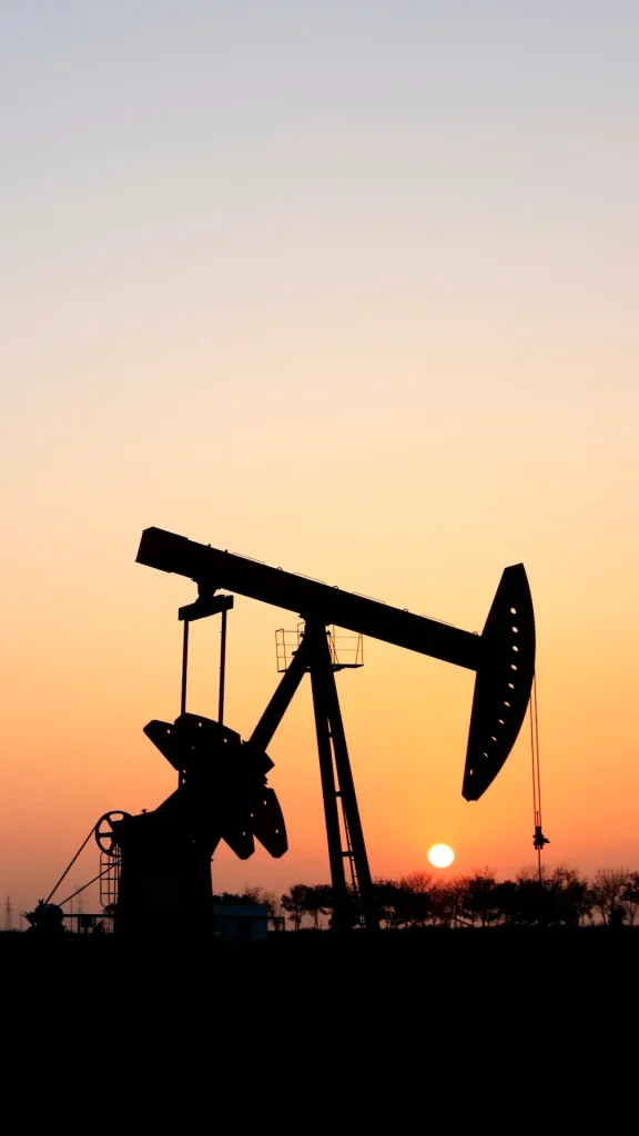 Más de 350 empresas de Santa Fe ya son proveedoras en Vaca Muerta