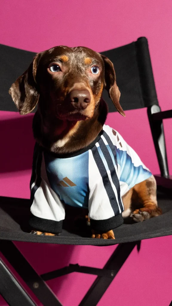 Adidas lanzó para mascotas la colección de indumentaria de la Selección Argentina para el Mundial 2026