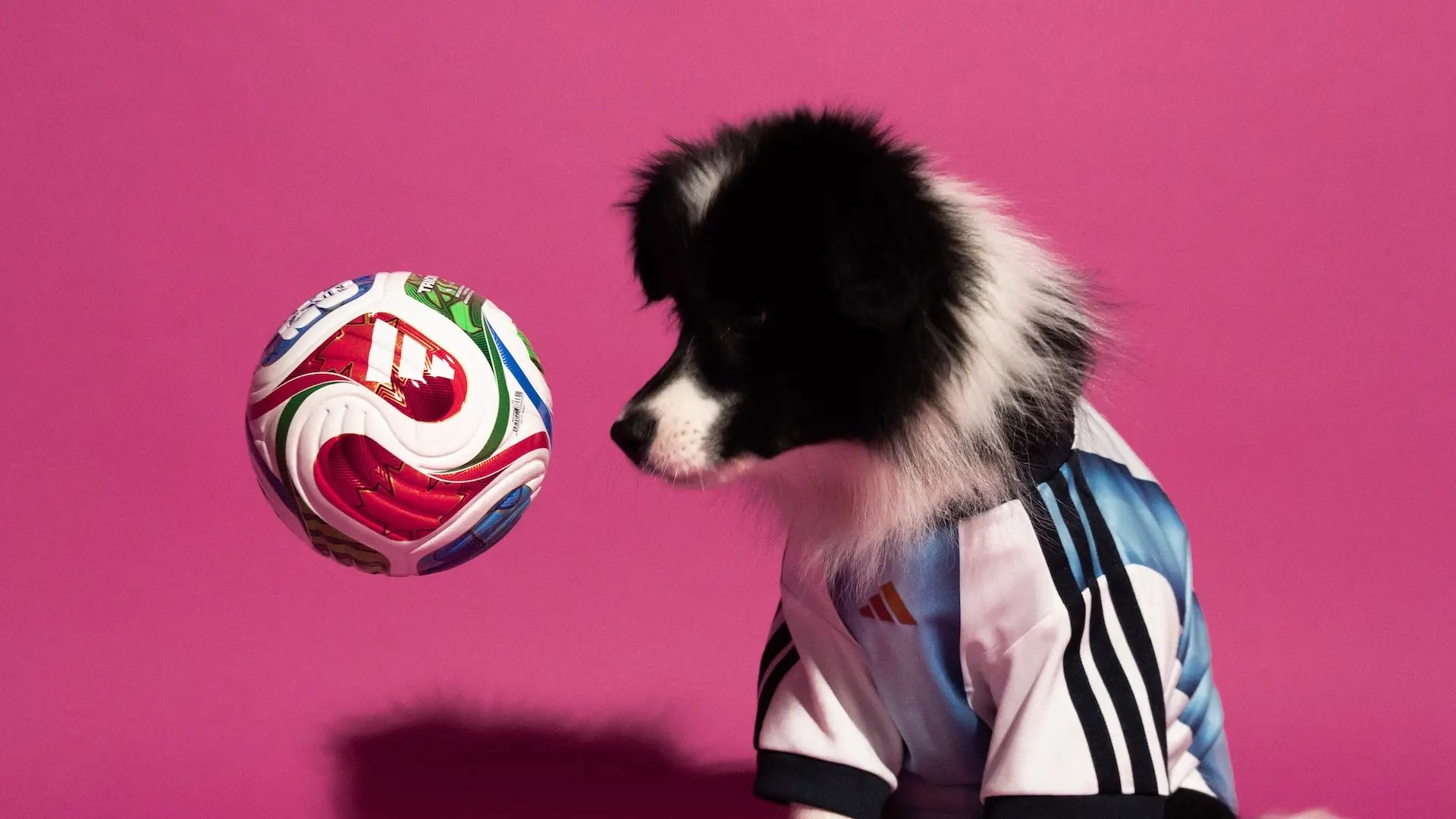 Adidas lanzó para mascotas la colección de indumentaria de la Selección Argentina para el Mundial 2026