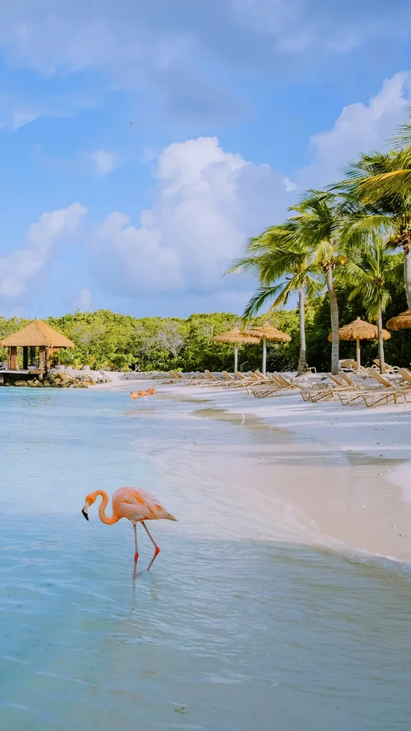 Aerolíneas Argentinas lanzó pasajes en oferta para volar a Aruba