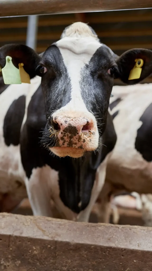 Llega a Entre Ríos la Expo Provincial de la Leche en su edición 2026