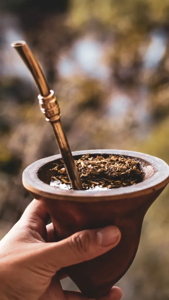 En mayo, llega la edición 2026 de Expo Mate: dónde se realizará