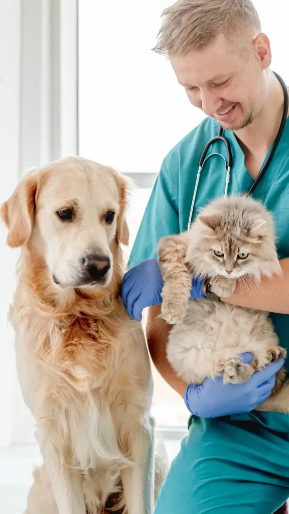 El Hospital de Salud Animal de Rosario, ya atendió a más de 1.100 mascotas en sólo dos semanas