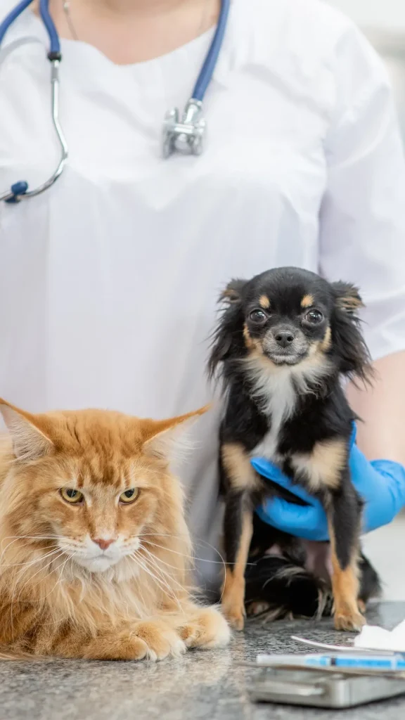 Inauguró el Hospital Animal Municipal de Rosario