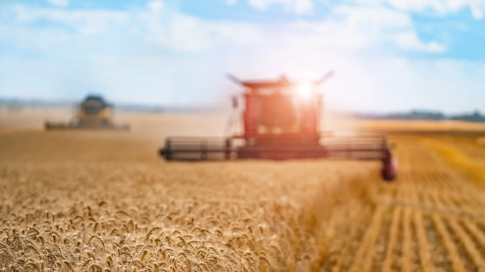 Los números de Agroactiva 2026: más de 280 mil visitantes y más de 700 emprendedores y pymes