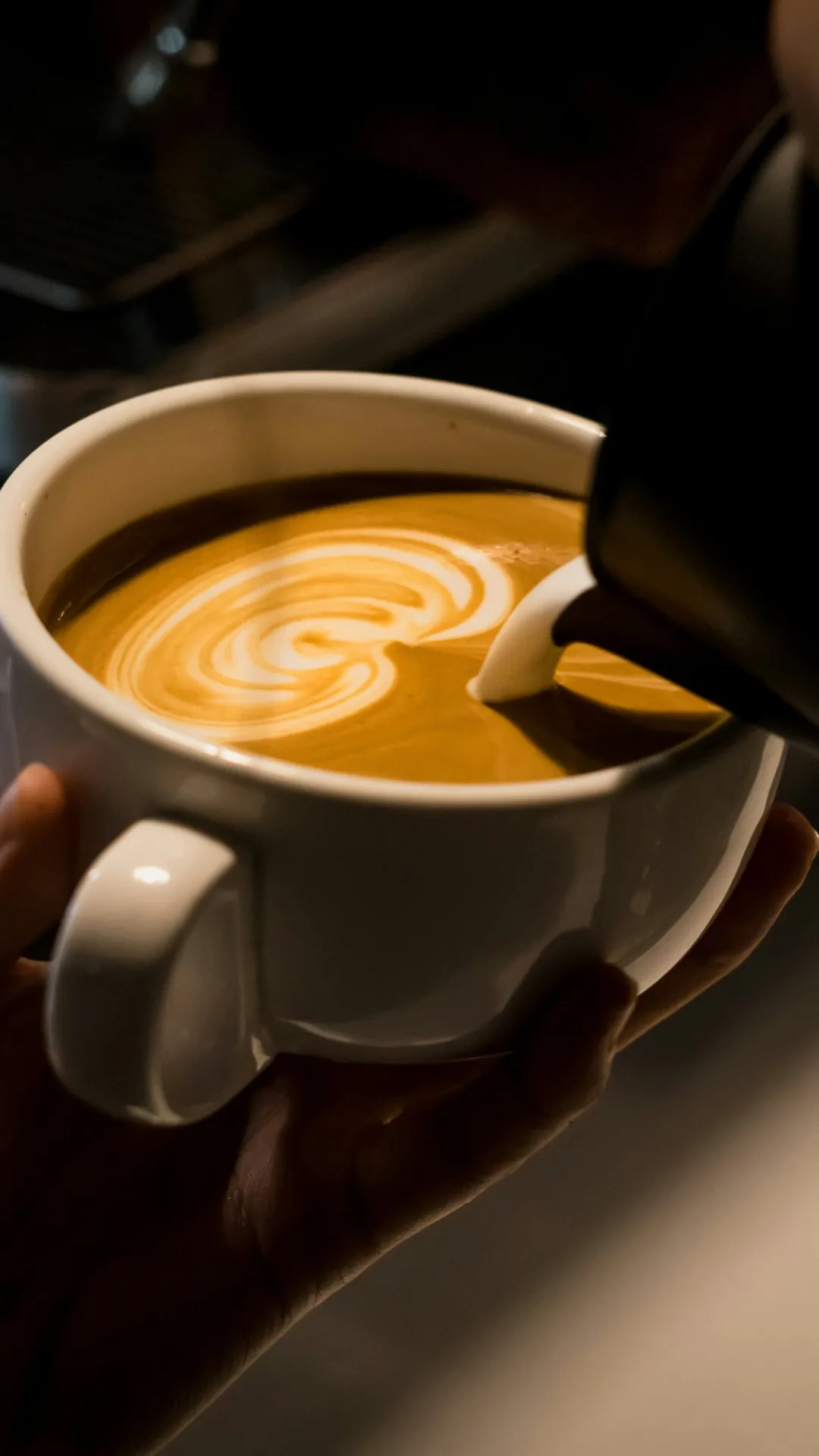 Gordo Atorrante: así es el nuevo café que se suma al mapa gastronómico de Rosario