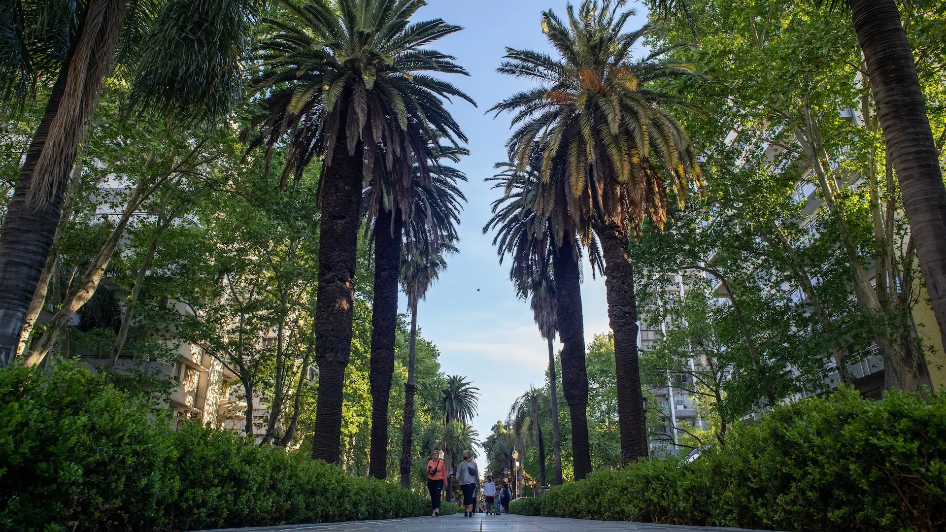 10 lugares imperdibles para visitar Rosario en cualquier momento del año