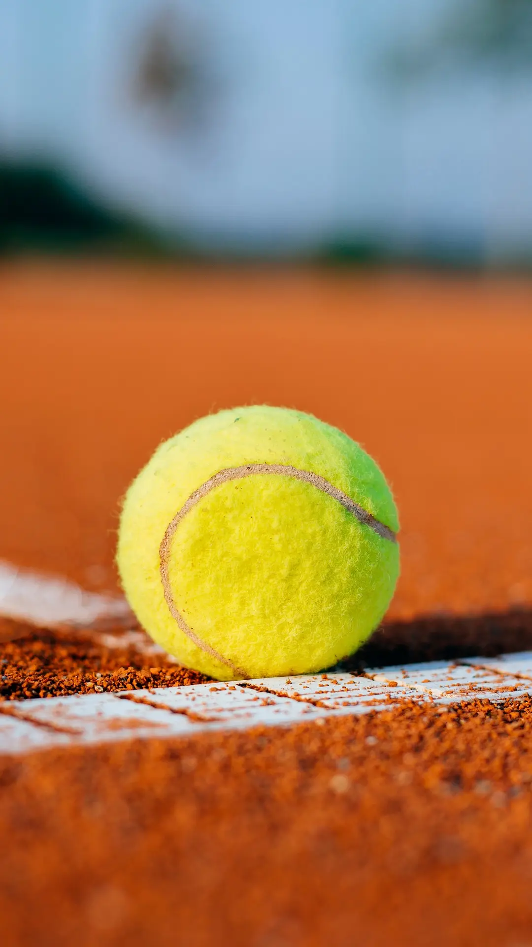 El Hipódromo del Parque Independencia sumará canchas de tenis y una academia de Gastón Gaudio
