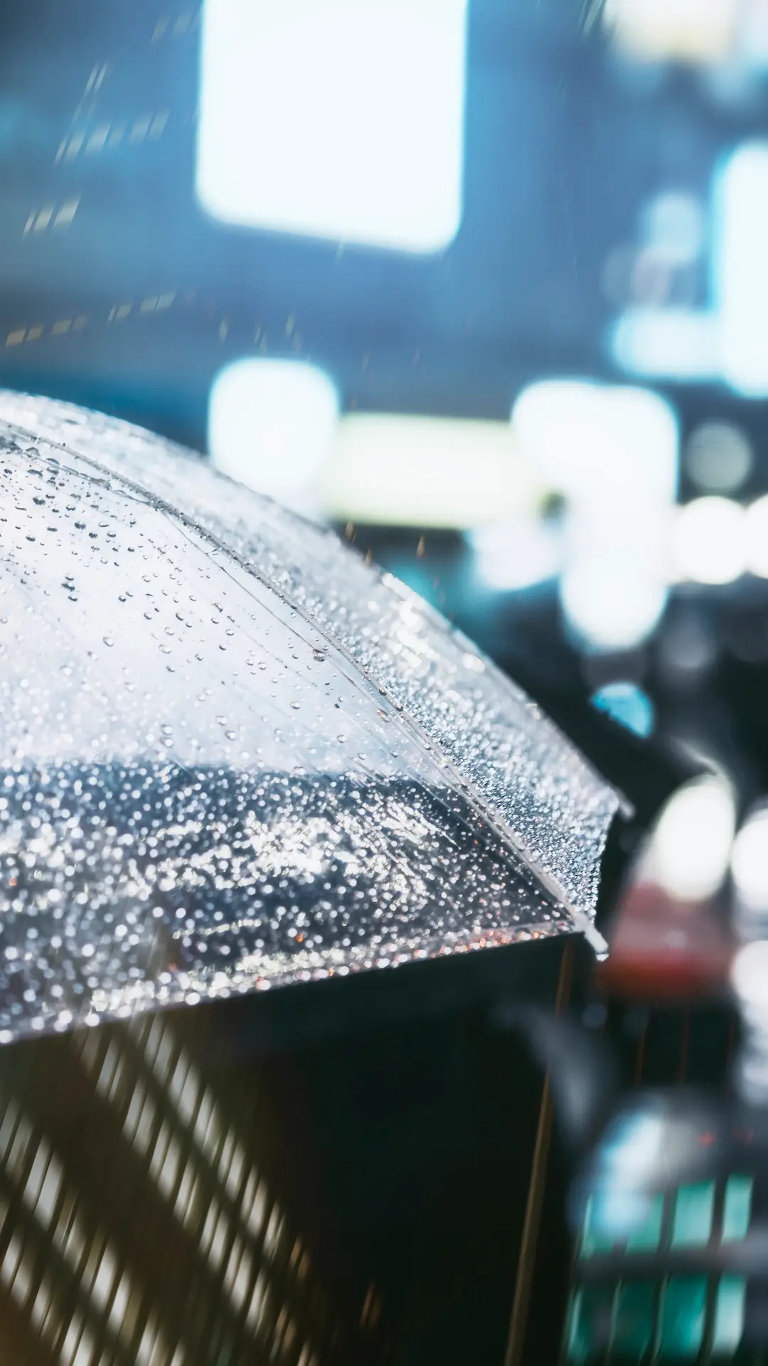 Fenómeno El Niño en Rosario: ¿qué dice el pronóstico para la primavera 2026 y el verano 2027?